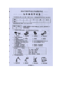 大埔县2016年九年级中考模拟化学试卷及答案