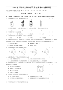 湖南省永州市祁阳县八宝镇中学2016届九年级中考模拟化学试题