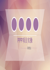 PPP项目实操