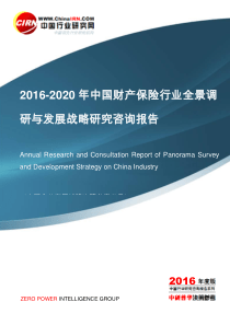 2016-2020年中国财产保险行业全景调研与发展战略研究咨询报告目录