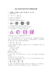 2016年泸州市中考数学试题解析版