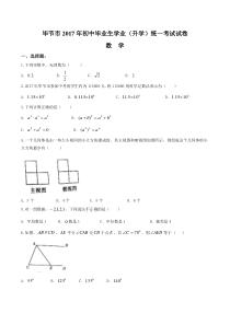 2017年毕节市中考数学试卷及答案