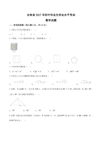 2017年吉林省中考数学试卷及答案