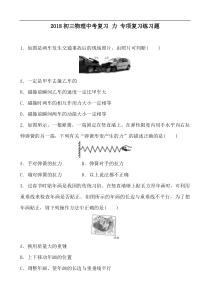 2018初三物理中考复习：力 专项复习练习题