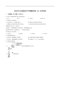 2018年山东省临沂市中考模拟冲刺（五）化学试卷及答案