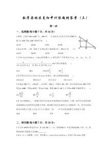 数学奥林匹克初中训练模拟试题附答案(三)