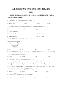 贵州省六盘水市2017年中考数学试题（含答案）