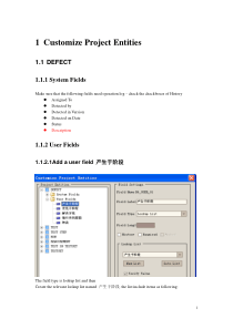 TestDirector项目的配置手册