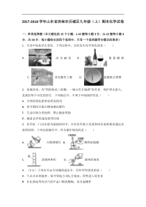 山东省济南市历城区2018届九年级（上）期末化学试卷（解析版）