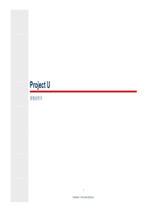 U项目募集说明书XXXX0810