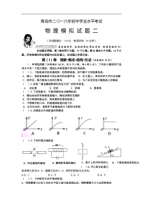 山东省青岛市2018年初中学业水平考试物理模拟（二）