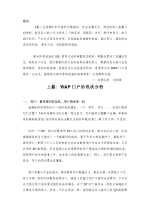 移动的WAP门户的运营分析