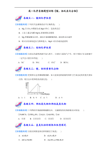 高一化学易错题型训练《镁、铝及其化合物》