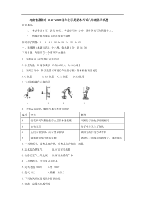 河南省濮阳市2017-2018学年上学期期末考试九年级化学试卷