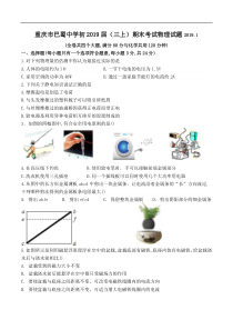 重庆市巴蜀中学初2019届（三上）期末考试物理试题