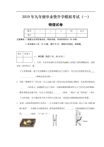 安徽省芜湖市2019届九年级毕业暨升学模拟考试（一）物理试题