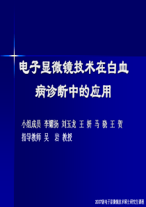 电子显微镜技术在白血病诊断中的应用