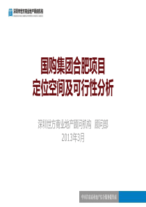 XXXX03国购集团合肥项目(500万平)定位空间及可行性分析