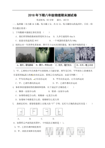 湖南省安仁县2018-2019学年八年级上学期期末考试物理试题及答案