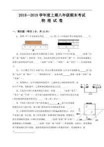 河南省信阳市第九中学2018-2019学年八年级上学期期末考试物理试题及答案