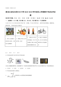 黑龙江省哈尔滨市六十九中2018-2019学年九年级上学期期中考试化学试题