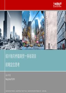 XXXX07中原绍兴杨汛桥镇商贸一条街项目前期定位思考