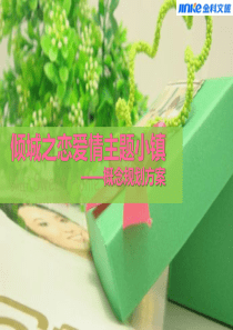 XXXX1008-自贡项目概念性规划设计方案(定稿)