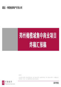 XXXX12世联郑州橄榄城中联集中商业项目终稿汇报稿