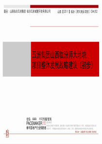 XXXX临汾某商业项目地块项目初步发展建议