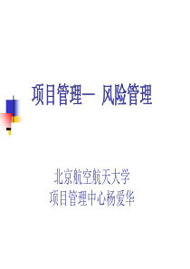 项目风险管理(ppt-60页)