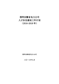 国网安徽省电力公司人才队伍建设三年计划(2016-2018)