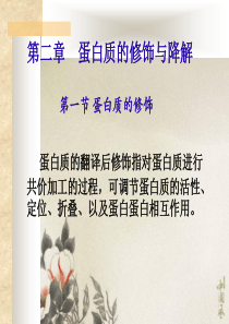 ln蛋白质的修饰与讲解