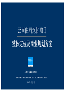 XXXX年云南曲靖炮团项目整体定位及商业规划发展建议