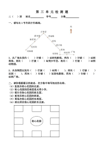 北师大二年级数学下册第三单元检测题