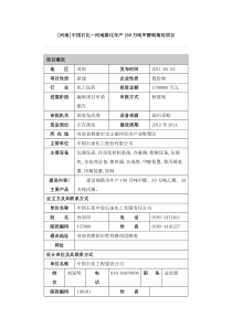 XXXX年新建项目网