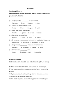 新加坡小学二年级英语试卷PRACTICE 4