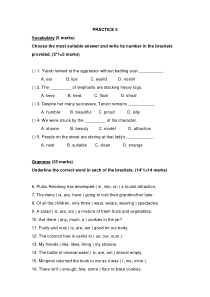 新加坡小学二年级英语试卷PRACTICE 5