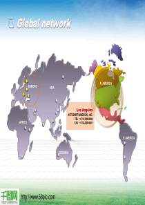 全球网络分析PPT模板