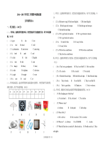 新标准英语五年级英语下册期中试题