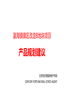 XXXX年北京瀛海镇镇区改造B地块项目产品规划建议