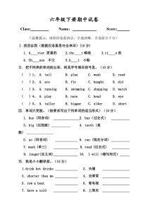 pep六年级英语下册期中试卷