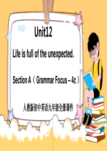 初中英语人教版九年级全册《life-is-full-of-the-unexpected》课件PPT