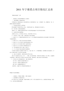 XXXX年宁德重点项目情况汇总表