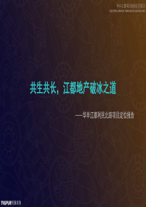 XXXX年江都市利民北路地块项目定位报告