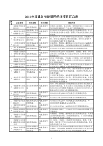 XXXX年福建省节能循环经济项目汇总表