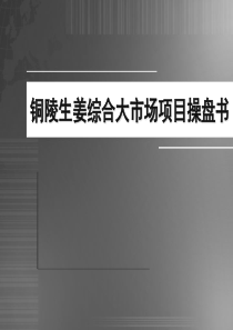 XXXX年铜陵生姜综合大市场项目操盘书