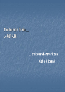 3-TheHumanBrain-人类的大脑--测测你的双眼