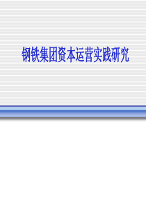 钢铁集团资本运营实践研究