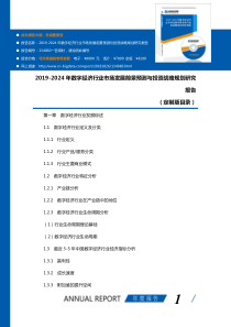 2019-2024年数字经济行业市场发展前景预测与投资战略规划研究报告-定制(目录)