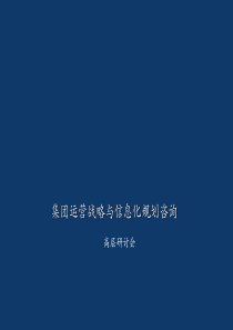 集团运营运营模式与管控报告（PDF124页）